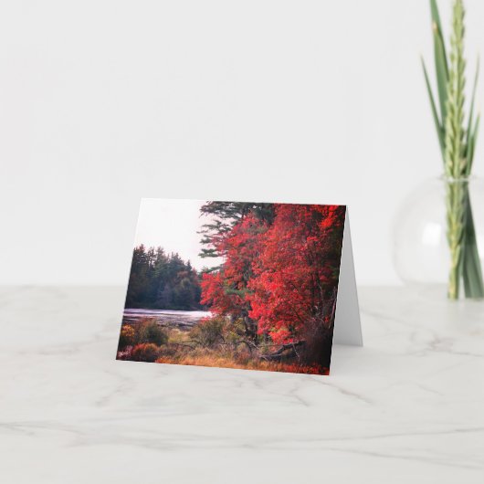Herfst Foliage Pond Note Kaart (Voorkant)