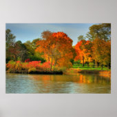 Herfst Foliage Poster (Voorkant)
