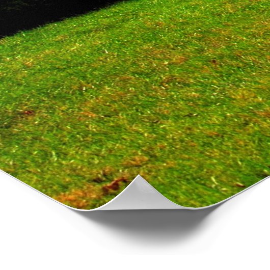 Herfst Foliage Poster (Hoek)