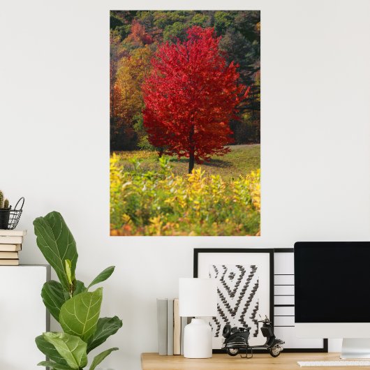 Herfst Foliage Poster (Thuiskantoor)
