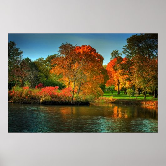 Herfst Foliage Poster (Voorkant)