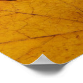 Herfst Foliage Poster (Hoek)