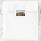 Herfst Foliage Ronde Sticker (Tas)