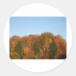 Herfst Foliage Ronde Sticker