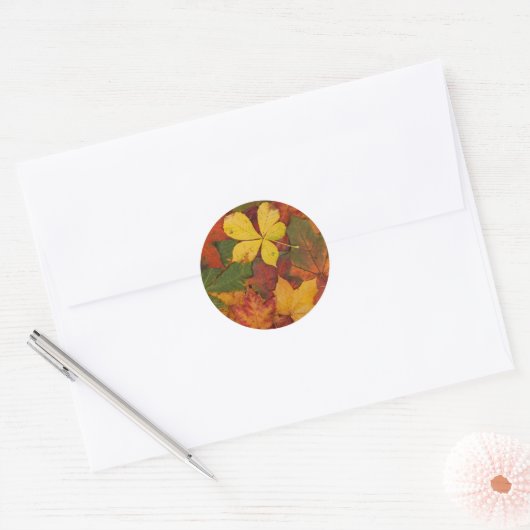 Herfst Foliage Ronde Sticker (Envelop)