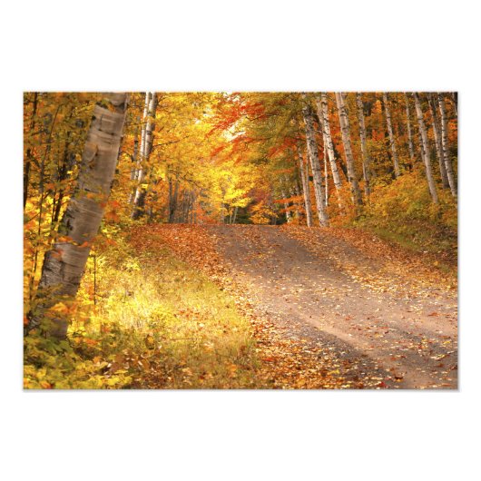 Herfst Foliage Rural Road U.P. Michigan Photograph Foto Afdruk (Voorkant)