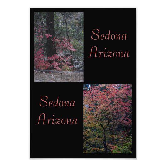 Herfst foliage Sedona, Arizona Foto Afdruk (Voorkant)