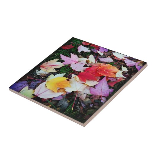 Herfst Foliage Tegeltje (Zijkant)