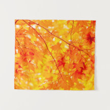 Herfst Foliage Trees Natuur KLEINE