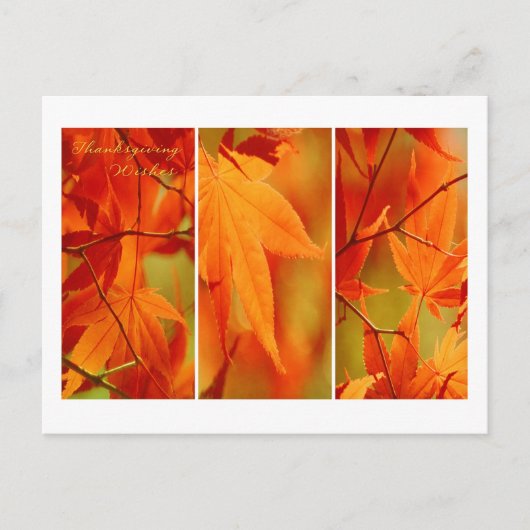 Herfst Foliage Trio Happy Thanksgiving Briefkaart (Voorkant)
