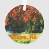 Herfst Foliage uit Boston Ornament (achterkant)