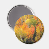 Herfst Foliage Valley Magneet (Voorkant / Achterkant)