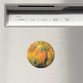 Herfst Foliage Valley Magneet (Insitu (Vaatwasser))