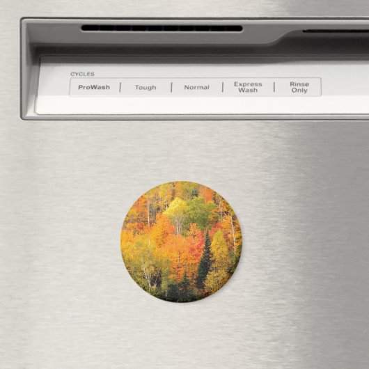 Herfst Foliage Valley Magneet (Insitu (Vaatwasser))