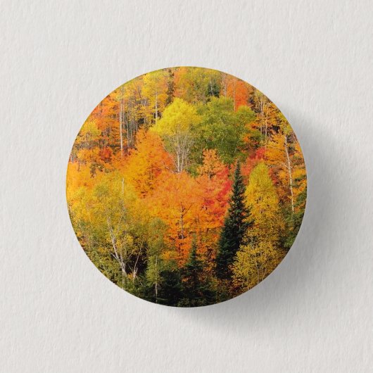 Herfst Foliage Valley Ronde Button 3,2 Cm (Voorkant)