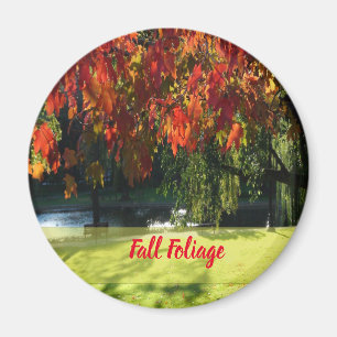 Herfst Foliage van Boston Magnet