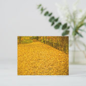 HERFST FOLIAGE VAN CORTLANDT PARK BRIEFKAART (Staand voorkant)