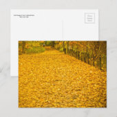 HERFST FOLIAGE VAN CORTLANDT PARK BRIEFKAART (Voorkant / Achterkant)