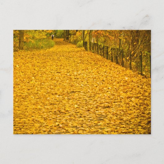 HERFST FOLIAGE VAN CORTLANDT PARK BRIEFKAART (Voorkant)