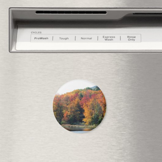 Herfst Foliage Vijver Natuur Fotografie Magneet (Insitu (Vaatwasser))