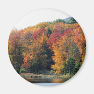 Herfst Foliage Vijver Natuur Fotografie Magneet