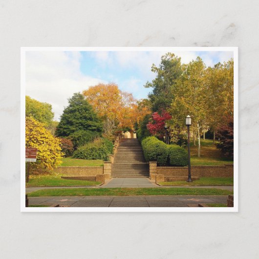Herfst Foliage Washington D.C. Briefkaart (Voorkant)