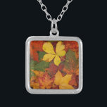 Herfst Foliage Zilver Vergulden Ketting<br><div class="desc">Een kleurrijk collectie van de herfst. Een verscheidenheid aan bladeren die in de herfst van kleur veranderen.</div>