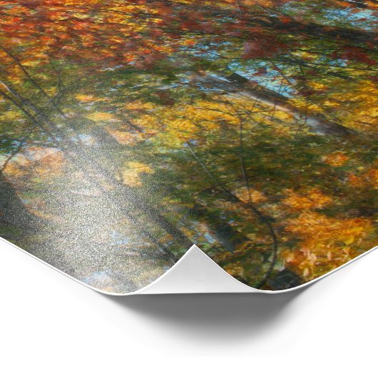 Herfst Forest Artwork Foto Afdruk (Hoek)