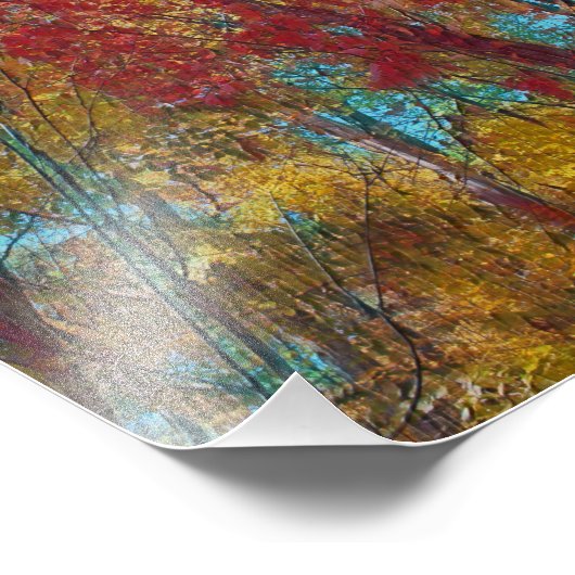 Herfst Forest Artwork Foto Afdruk (Hoek)