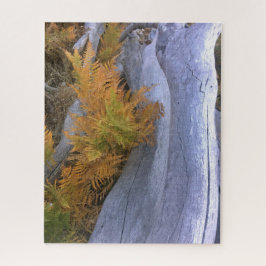 Herfst Forest Brackens Legpuzzel