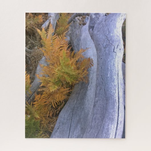 Herfst Forest Brackens Legpuzzel (Verticaal)