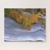 Herfst Forest Brackens Legpuzzel (Horizontaal)