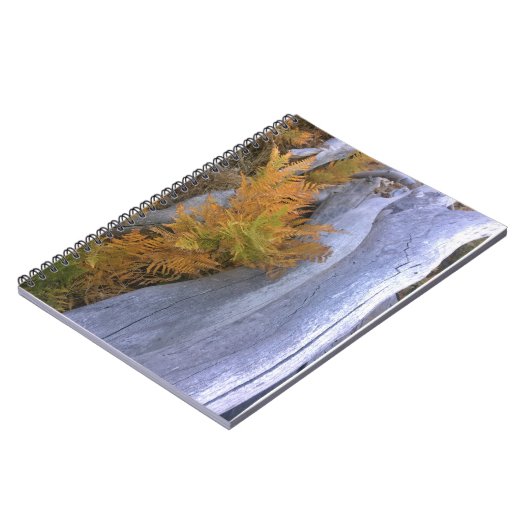 Herfst Forest Brackens Notitieboek (Linkerzijde)