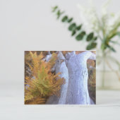 Herfst Forest Briefkaart (Staand voorkant)