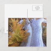 Herfst Forest Briefkaart (Voorkant / Achterkant)