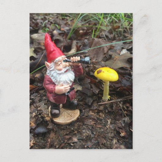 Herfst Forest Gnome Briefkaart (Voorkant)