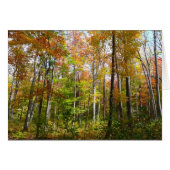 Herfst Forest I Autumn Landscape Photography (Voorkant Horizontaal)