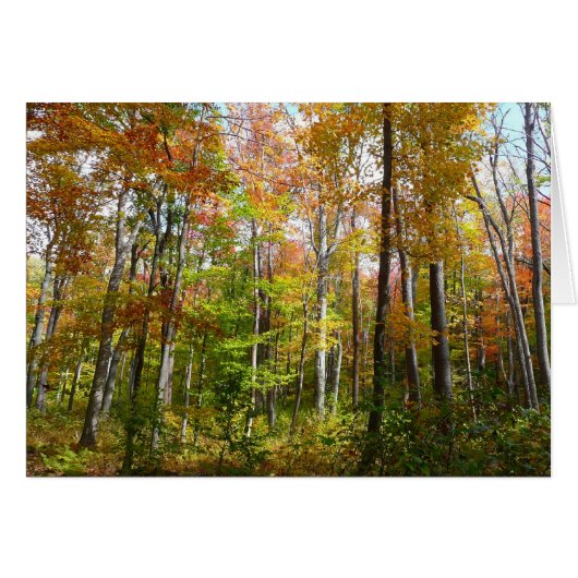 Herfst Forest I Autumn Landscape Photography (Voorkant Horizontaal)