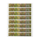 Herfst Forest I Autumn Landscape Photography (Vel)