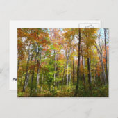 Herfst Forest I Autumn Landscape Photography Briefkaart (Voorkant / Achterkant)