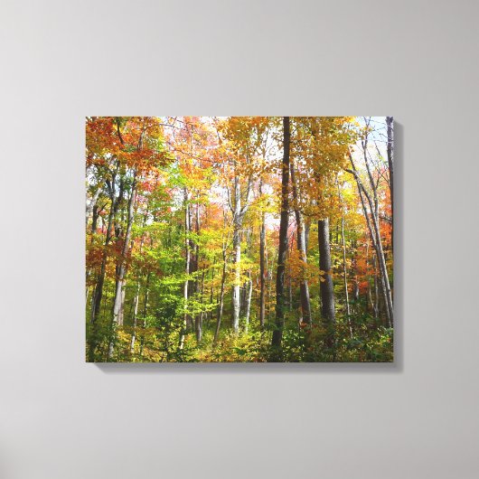 Herfst Forest I Autumn Landscape Photography Canvas Afdruk (Voorkant)