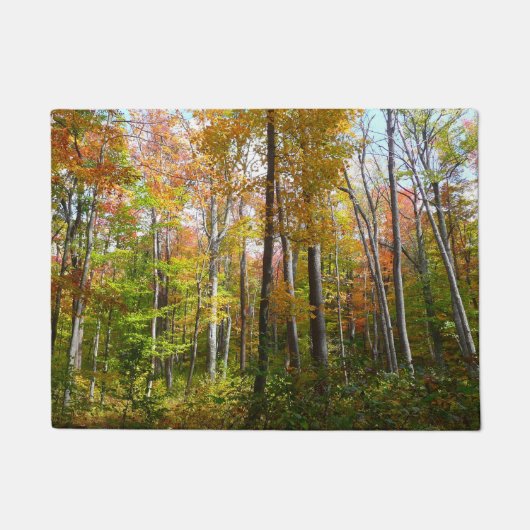 Herfst Forest I Autumn Landscape Photography Deurmat (Voorkant)