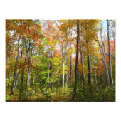 Herfst Forest I Autumn Landscape Photography Foto Afdruk (Voorkant)