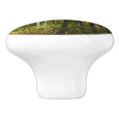 Herfst Forest I Autumn Landscape Photography Keramische Knop (Zijkant)