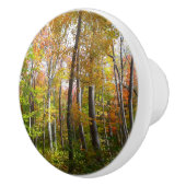 Herfst Forest I Autumn Landscape Photography Keramische Knop (Rechts)