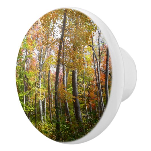 Herfst Forest I Autumn Landscape Photography Keramische Knop (Rechts)
