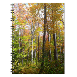 Herfst Forest I Autumn Landscape Photography Notitieboek