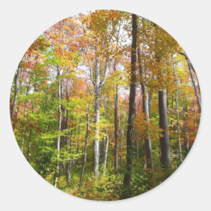 Herfst Forest I Autumn Landscape Photography Ronde Sticker