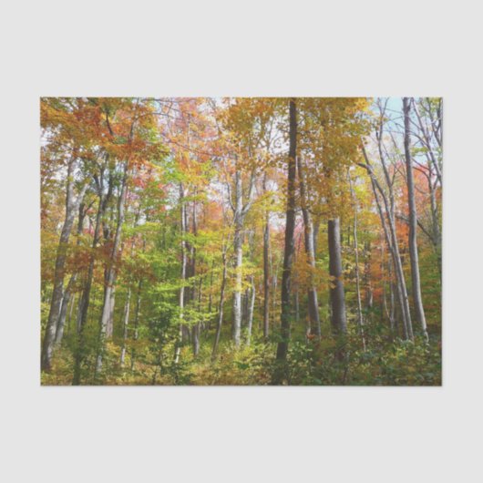 Herfst Forest I Autumn Landscape Photography Tissuepapier (Voorkant)