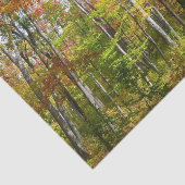 Herfst Forest I Autumn Landscape Photography Tissuepapier (Detail)